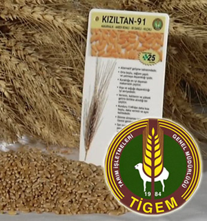 Tigem Sertifikalı Tohum